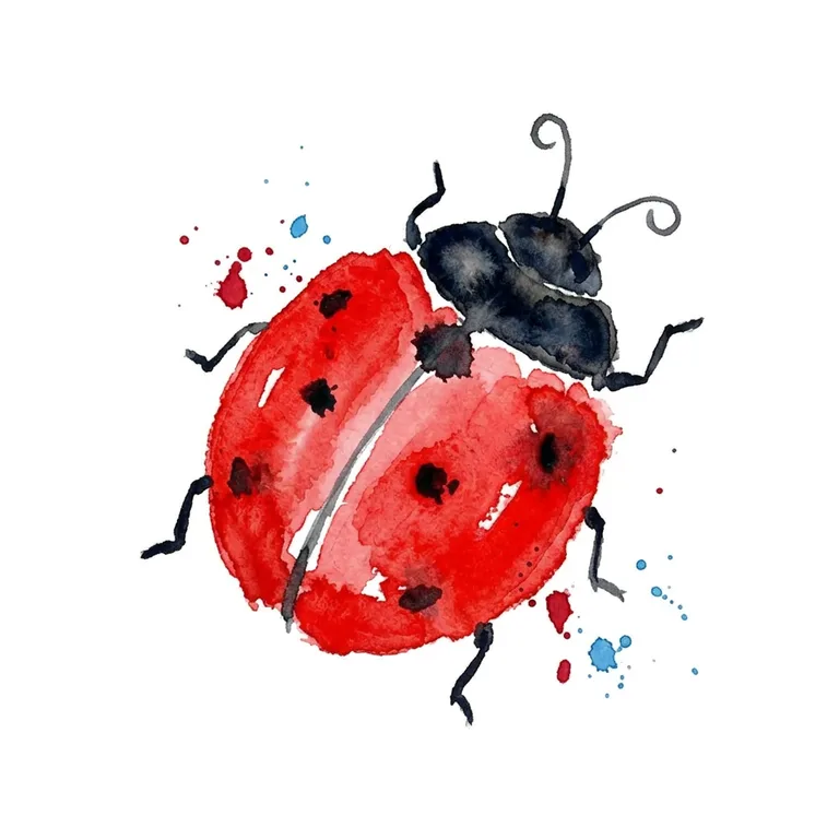 ladybird / coccinelle
